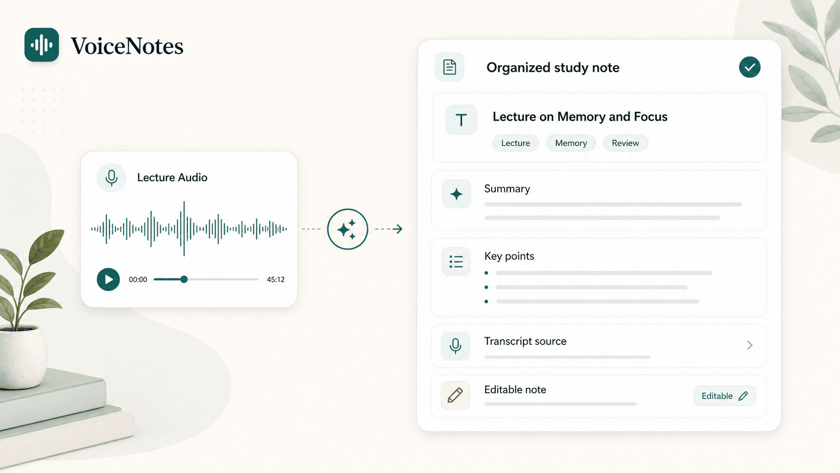 Scriptor organization preview showing lecture audio turned into an organized study note with title, summary, key points, transcript source, and editable note.