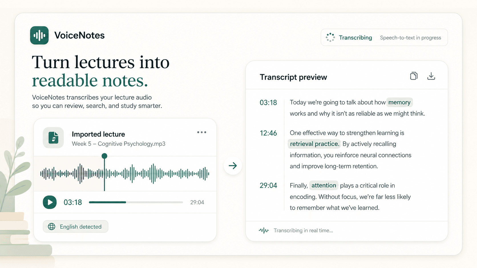 Scriptor lecture transcription preview showing imported lecture audio, language detection, and timestamped transcript text.
